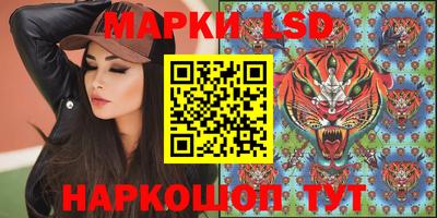 mdpv Новодвинск