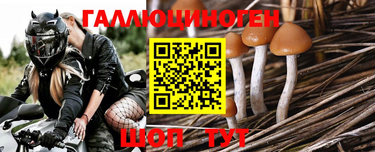Галлюциногенные грибы ЛСД Туапсе