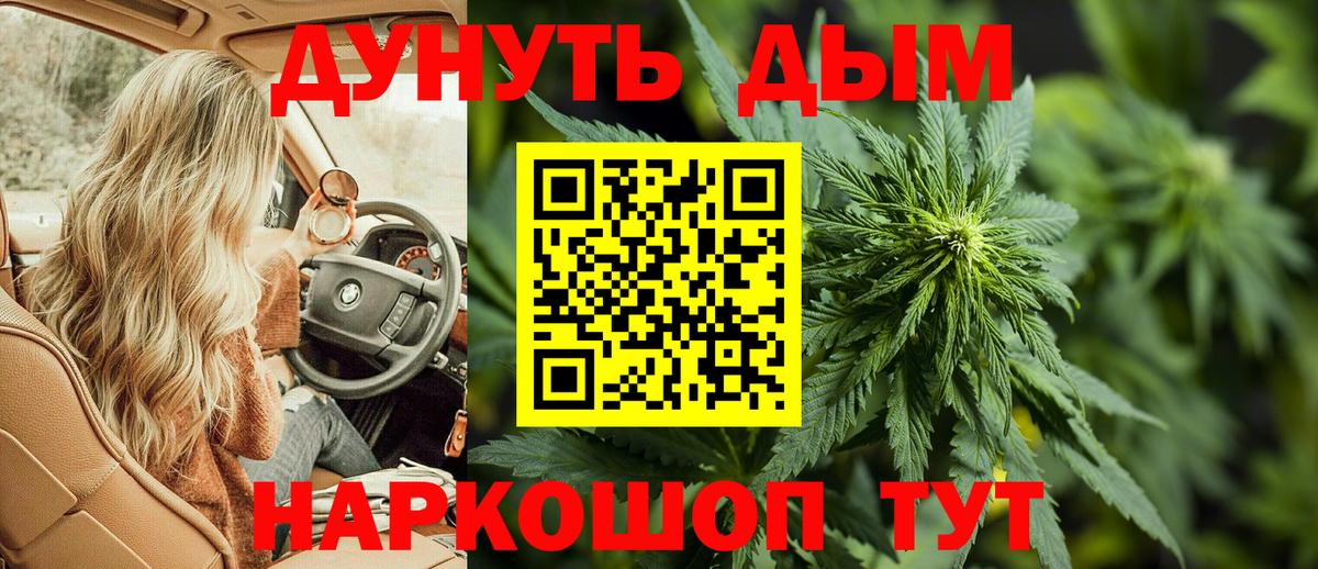 Конопля ГИДРОПОН  Канабис OG Kush  Туапсе  Каннабис планчик  Вход с VPN 